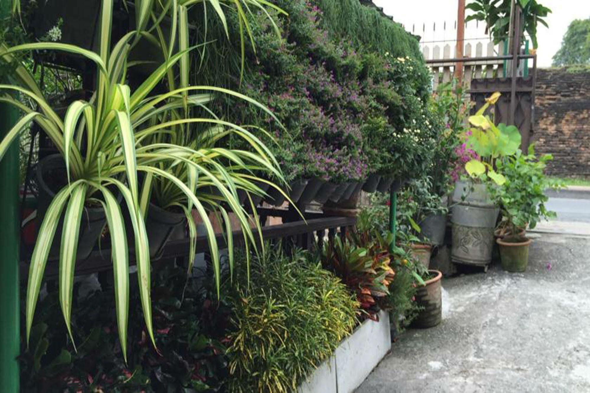 Siriwan Guesthouse Τσιάνγκ Μάι Εξωτερικό φωτογραφία